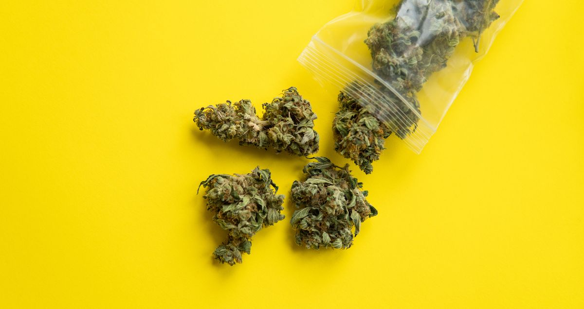 黄色背景上的大麻